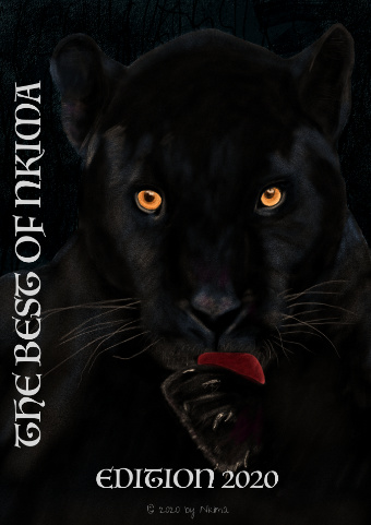 Zum Download von THE BEST OF NKIMA. Ein Bildband mit vielen Illustrationen der Fantasy und spannenden Hintergrundinformationen, verfügbar als interaktives iBook sowie als PDF. 